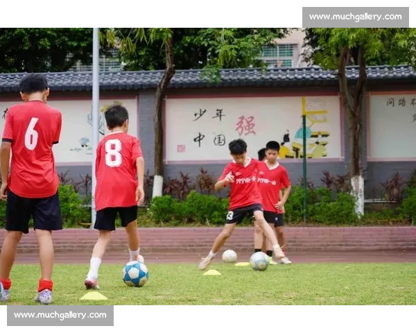 面向青少年的专业足球培训体系全面招生开启梦想之路成长未来计划