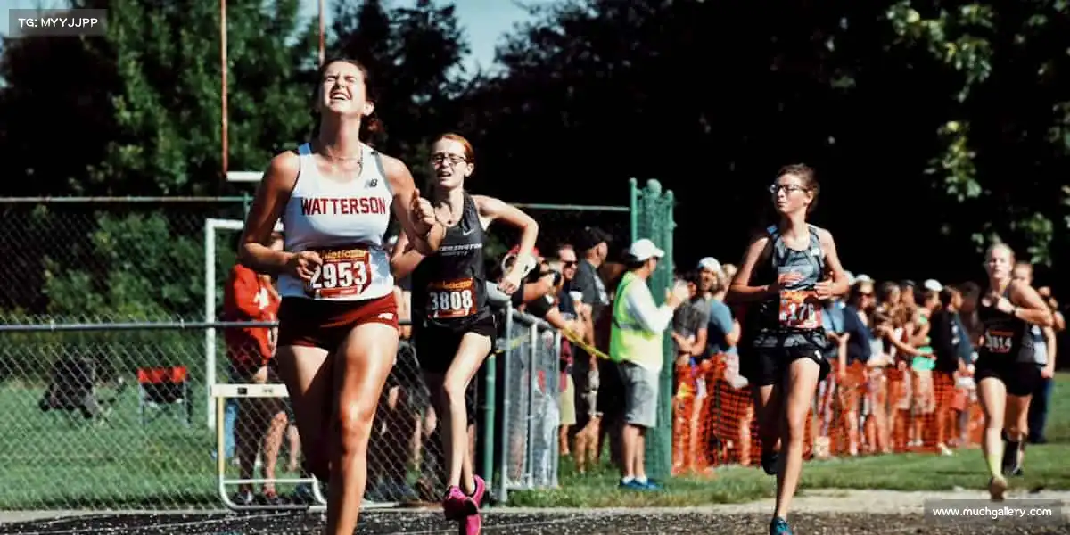 行业领先的理由